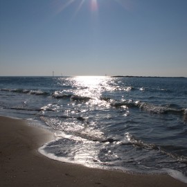 Quick Trip to the Beach